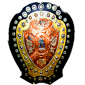Image result for information about ifa shield