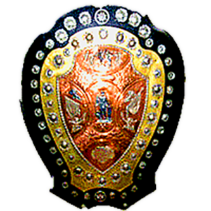 The IFA Shield