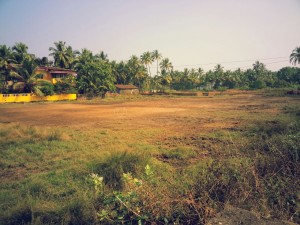 Romeo's playing ground. 