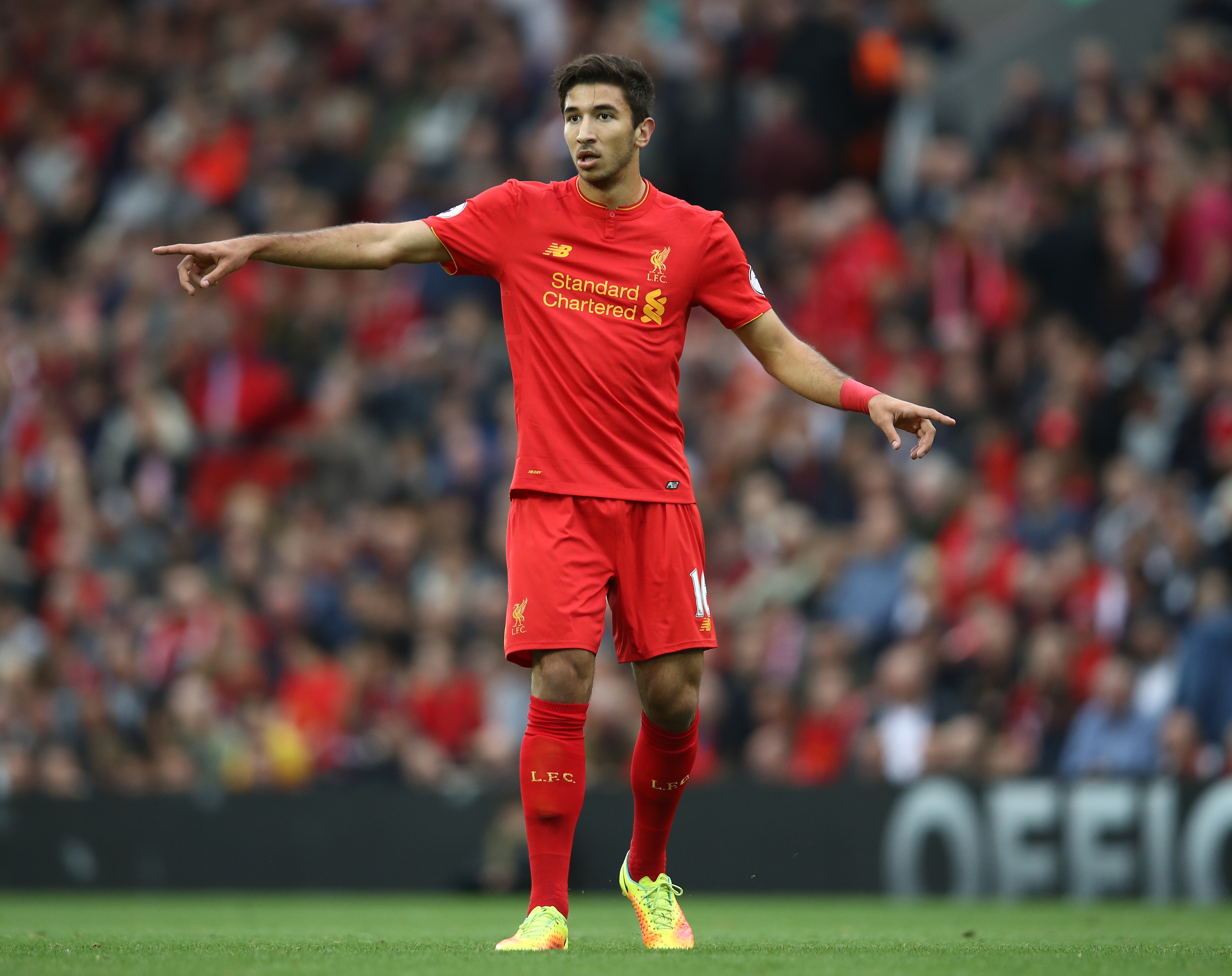 Marko Grujic set for another loan spell away from Liverpool (Photo by Julian Finney/Getty Images)