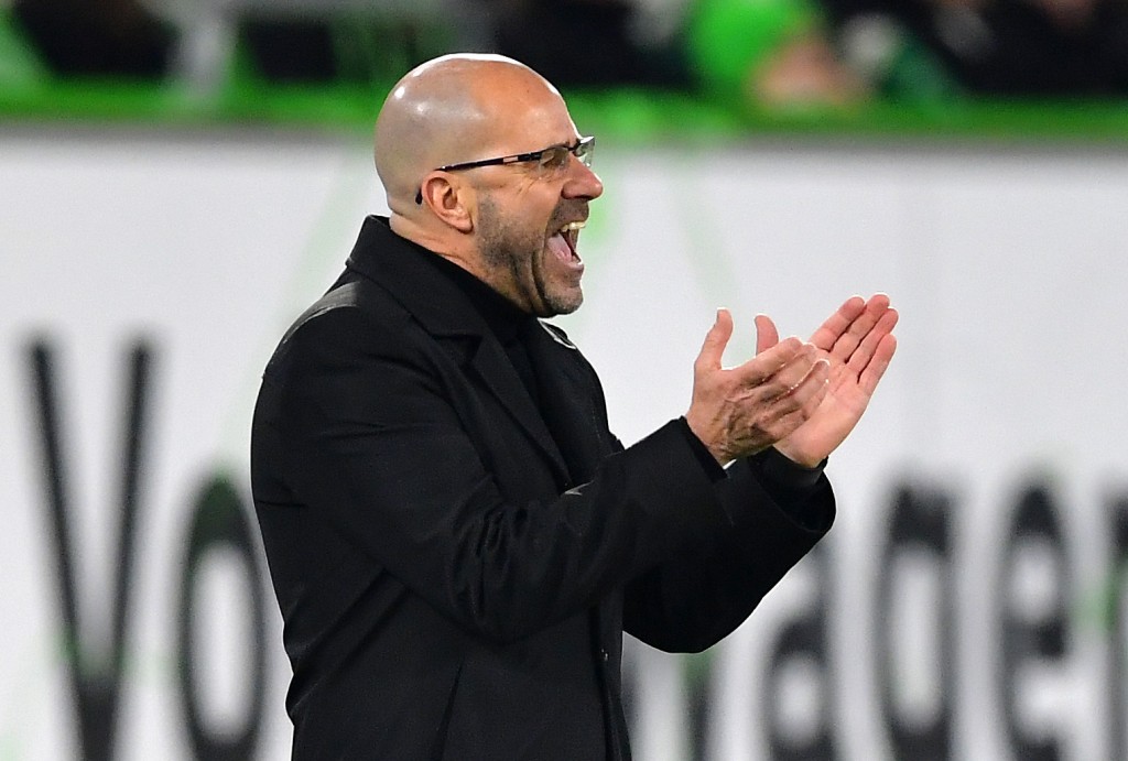 WOLFSBURG, GERMANY - JANUARY 26: Peter Bosz, Manager of Bayer 04 Leverkusen gives his team instructions during the Bundesliga match between VfL Wolfsburg and Bayer 04 Leverkusen at Volkswagen Arena on January 26, 2019 in Wolfsburg, Germany. (Photo by Stuart Franklin/Bongarts/Getty Images)