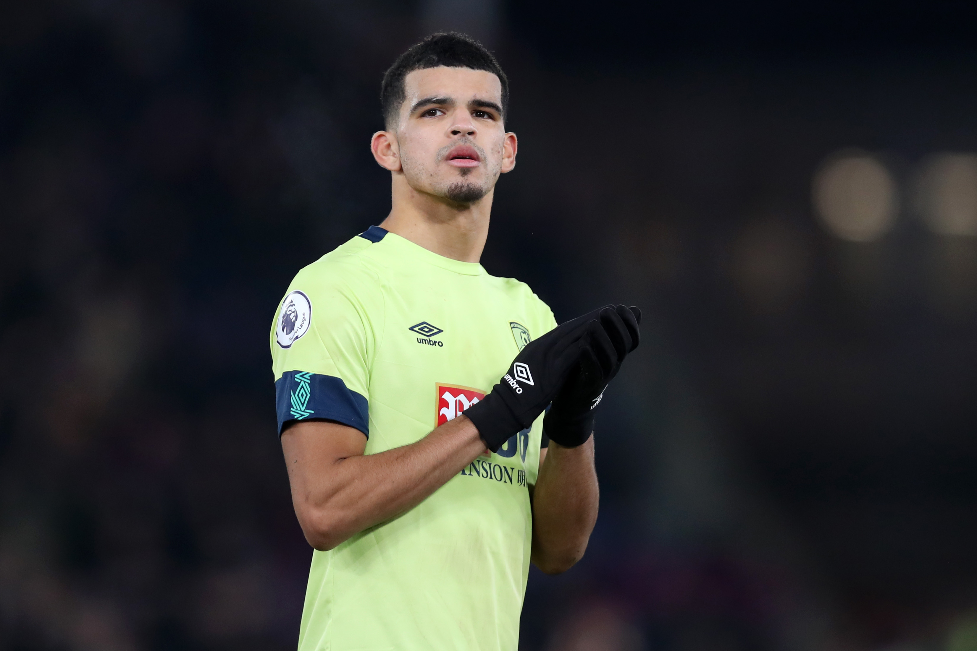 Solanke will be looking to break his duck for Bournemouth when he returns to Stamford Bridge (Photo by Jack Thomas/Getty Images)